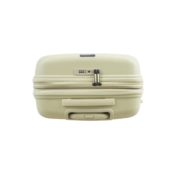 olive-06